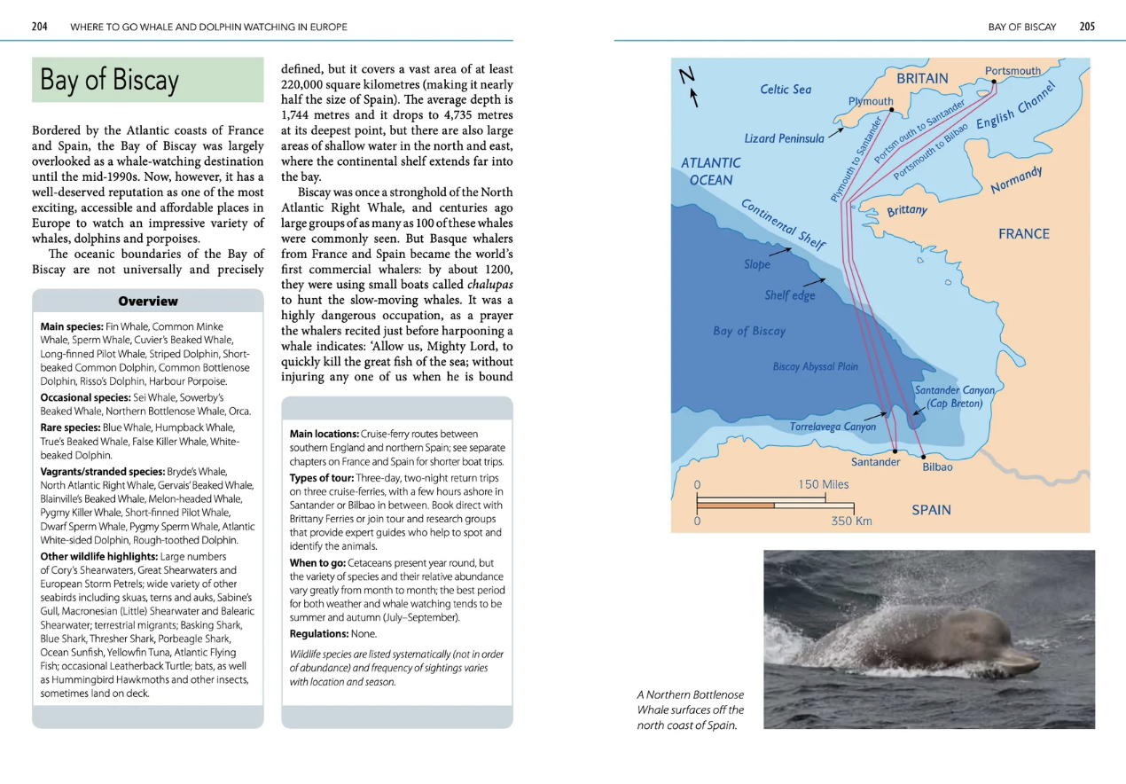 Mark Carwardine’s Guide to Whale Watching in Britain and Europe